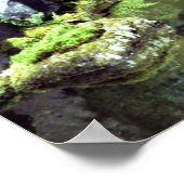 Poster Étang spirituel (Coin)