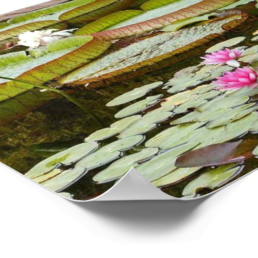 Poster Étangs à couches d'eau (Coin)