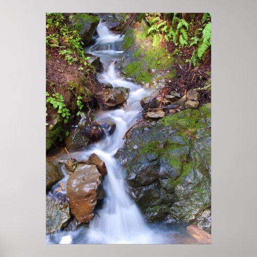 Poster Étape de chute (Devant)