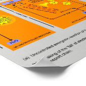 Poster Étapes de la respiration cellulaire en biologie (Coin)