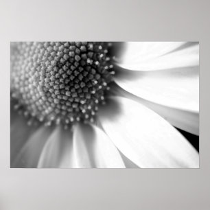 Poster Étapes de la vie