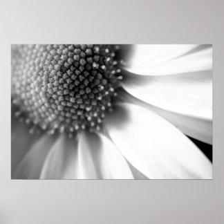 Poster Étapes de la vie