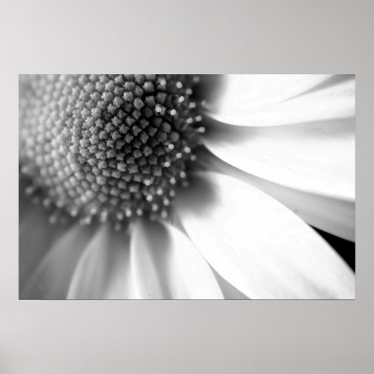 Poster Étapes de la vie (Devant)