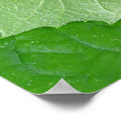 POSTER ÉTAPES DE LA VIE (Coin)