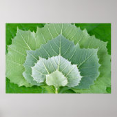 POSTER ÉTAPES DE LA VIE (Devant)