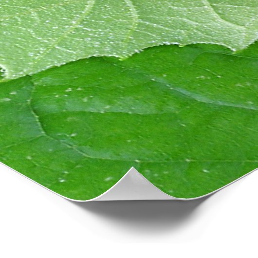 POSTER ÉTAPES DE LA VIE (Coin)