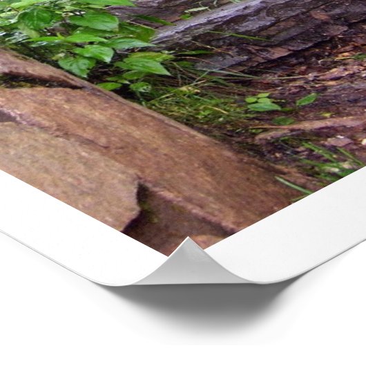 Poster Etapes granitiques (Coin)