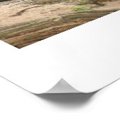 Poster Étapes pour bébé (Coin)