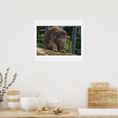 Poster Étapes pour bébé (Cuisine)