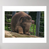 Poster Étapes pour bébé (Devant)