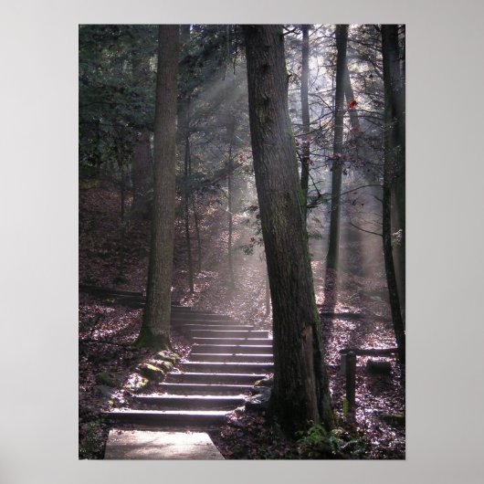 Poster Étapes vers les Lumières (Devant)