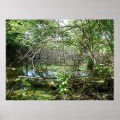 Poster État de confusion (Devant)