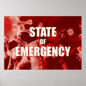 Poster État d'urgence et gestion des crises (Devant)