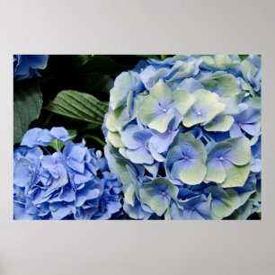 Poster États-Unis, Alabama, Theodore Near Mobile