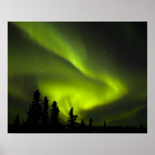 Poster États-Unis, Alaska, Chena Hot Springs. Aurore boré (Devant)