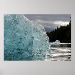 Poster États-Unis, Alaska, Forêt nationale de Tongass, Tr