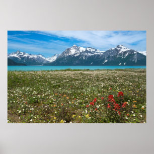 Poster États-Unis, Alaska, Glacier Bay National Park 2