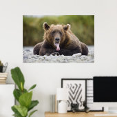 Poster États-Unis, Alaska, Parc national de Katmai, baie (Bureau à domicile)