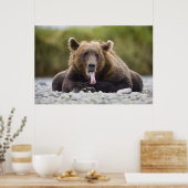 Poster États-Unis, Alaska, Parc national de Katmai, baie (Cuisine)