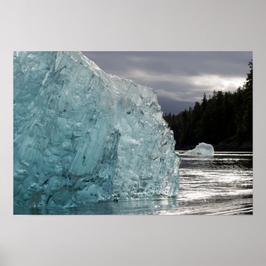 Poster États-Unis, Alaska, Tongass National Forest, Tracy (Devant)