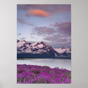 Poster États-Unis, Alaska, vallée de la rivière Alsek. Vu