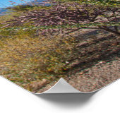 Poster États-Unis, Arizona. Cactus Dans Le Parc National  (Coin)