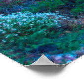 Poster États-Unis, Arizona. Flore du désert (Coin)