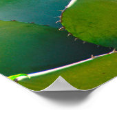 Poster États-Unis, Arizona. Gros Plan Du Plante Succulent (Coin)