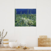 Poster États-Unis, Arizona, Organ Pipe Cactus National (Cuisine)