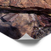 Poster États-Unis, Arizona, Parc National de la Forêt Pet (Coin)