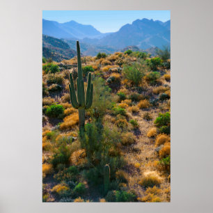 Poster États-Unis, Arizona. Vue du désert