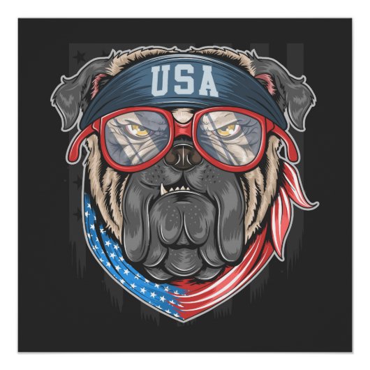 Poster États-Unis Bulldog (Devant)
