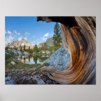 États-Unis, Californie, Forêt nationale d'Inyo. An