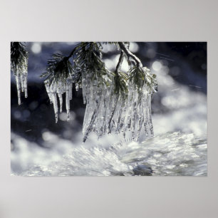Poster États-Unis, Californie, lac Tahoe. Icicules sur