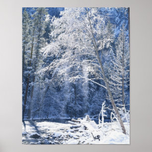 Poster États-Unis, Californie, Parc national de Yosemite,