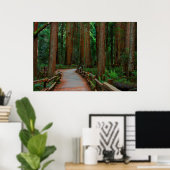 Poster États-Unis, Californie. Path Among Séquwoods (Bureau à domicile)