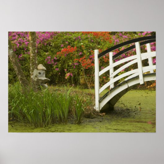 Poster États-Unis; Caroline du Sud; Charleston; 2 (Devant)