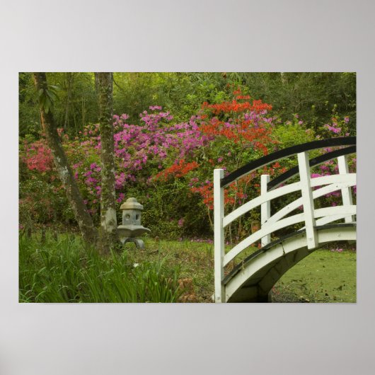 Poster États-Unis; Caroline du Sud; Charleston; 5 (Devant)