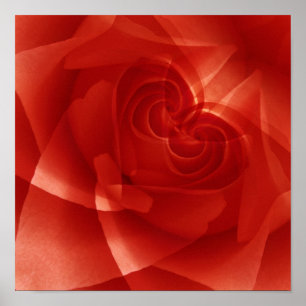 Poster États-Unis, Colorado, Lafayette. Montage de rose r