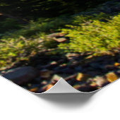 Poster États-Unis, Colorado, Monts San Juan. Effacement (Coin)