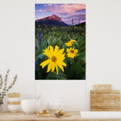 Poster États-Unis, Colorado, Mt. Crested Butte (Cuisine)