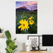 Poster États-Unis, Colorado, Mt. Crested Butte (Bureau à domicile)