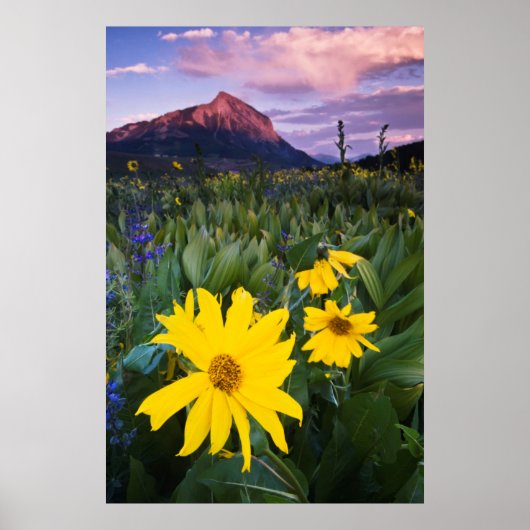 Poster États-Unis, Colorado, Mt. Crested Butte (Devant)