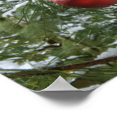 Poster États-Unis, État de Washington, comté de Chelan (Coin)