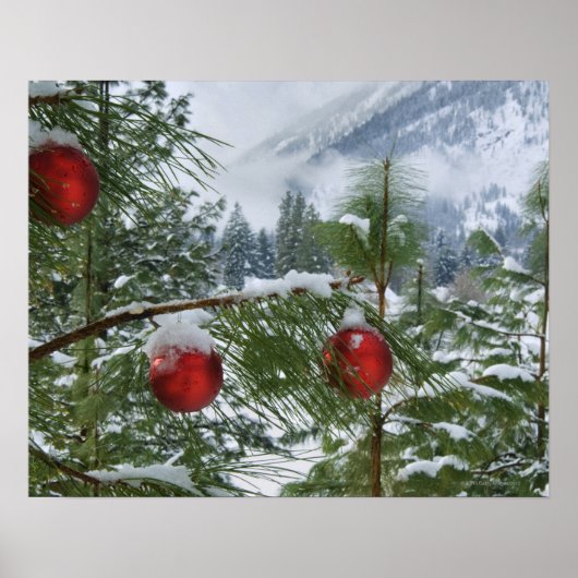 Poster États-Unis, État de Washington, comté de Chelan (Devant)