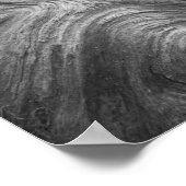 Poster États-Unis, État de Washington. Douglass Fir (Coin)