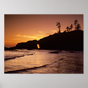 Poster États-Unis, État de Washington, Parc national Olym