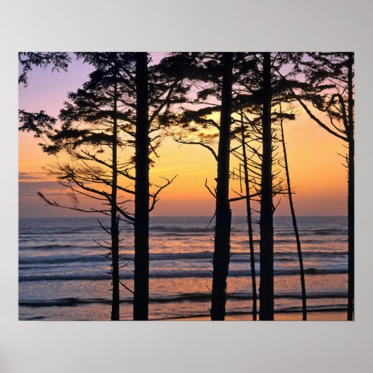 Poster États-Unis, État de Washington, Pôle olympique. Dé (Devant)