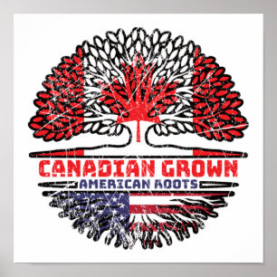 Poster États-Unis États-Unis États-Unis Canada Arbre cana