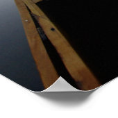 Poster États-Unis, Floride, Forêt nationale d'Ocala, Alex (Coin)